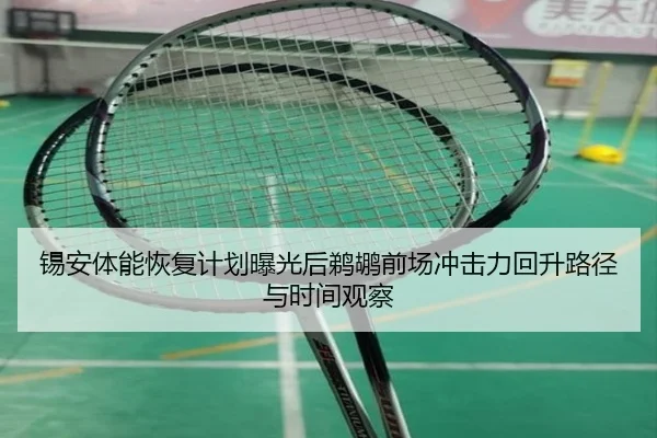 锡安体能恢复计划曝光后鹈鹕前场冲击力回升路径与时间观察