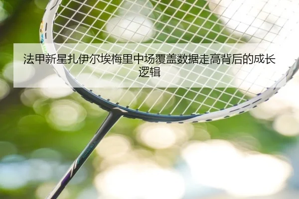 法甲新星扎伊尔埃梅里中场覆盖数据走高背后的成长逻辑